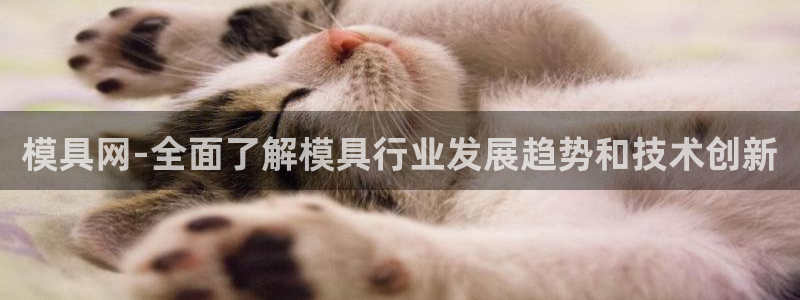 太阳游戏城app：模具网-全面了解模具行业发展趋势和技术创新