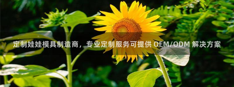 太阳集团城入口：定制娃娃模具制造商，专业定制服务可提供 OEM/ODM 解决方案