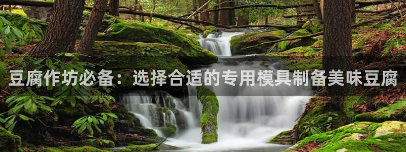 太阳集团股东：豆腐作坊必备：选择合适的专用模具制备美味豆腐