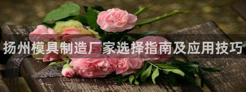 太阳集团城娱