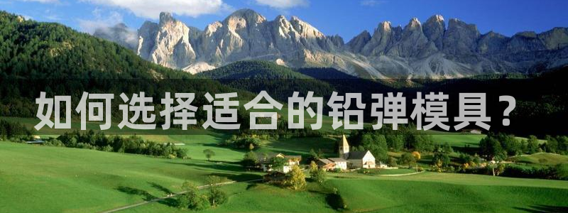太阳成集团61999：如何选择适合的铅弹模具？