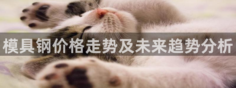 太阳1城集团网址：模具钢价格走势及未来趋势分析