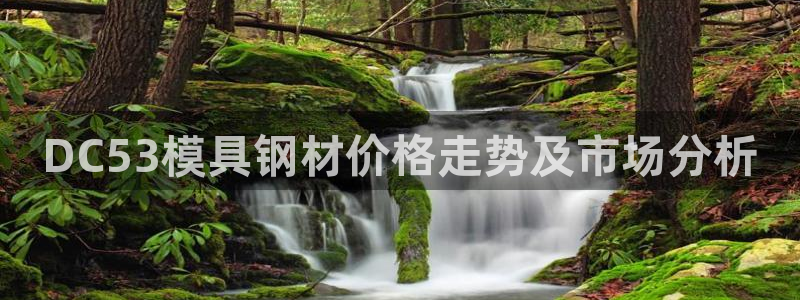 太阳集团城官网：DC53模具钢材价格走势及市场分析
