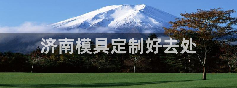 太阳app软件：济南模具定制好去处