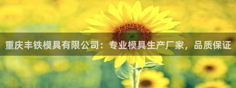 太阳集团电子游戏：重庆丰铁模具有限公司：专业模具生产厂家，品质保证