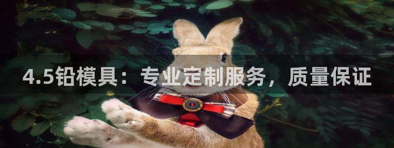 太阳诚集团下载：4.5铅模具：专业定制服务，质量保证