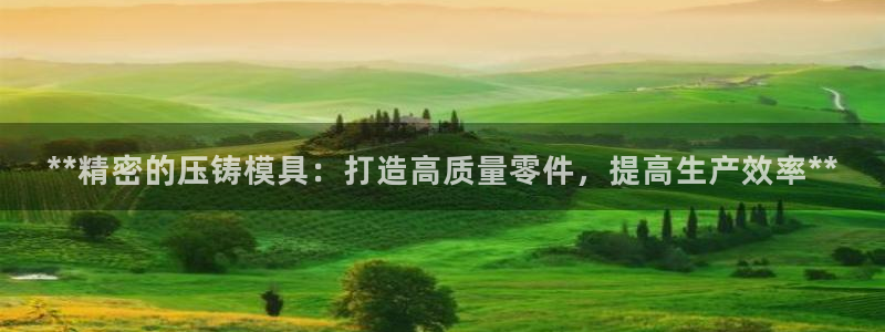 太阳游戏城：**精密的压铸模具：打造高质量零件，提高生产效率**
