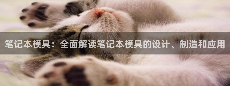 太阳app下载网址进入