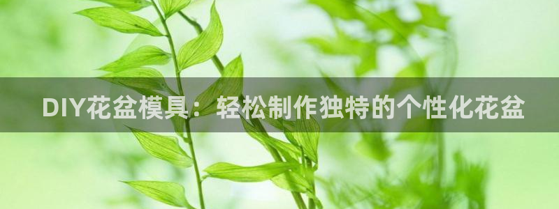 太阳集团tcy8722查封了： DIY花盆模具：轻松制作独特的个性化花盆