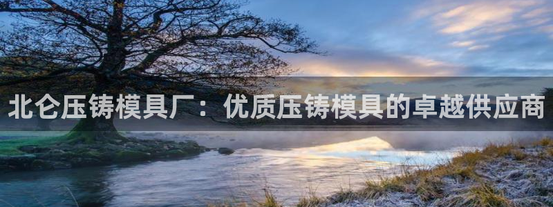 太阳诚集团是干什么的：北仑压铸模具厂：优质压铸模具的卓越供应商