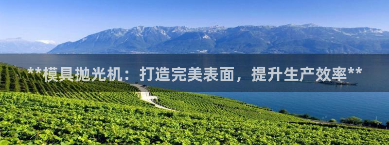 太阳集团游戏软件：**模具抛光机：打造完美表面，提升生产效率**