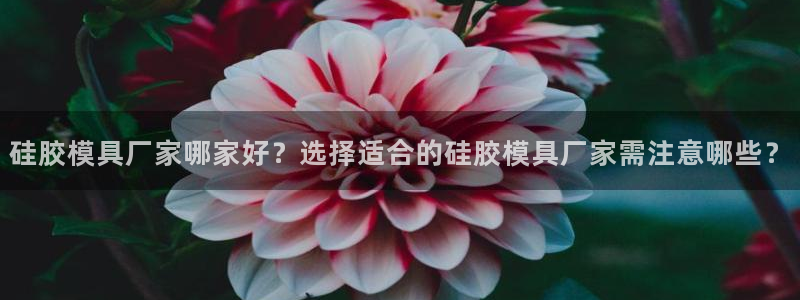 063801太阳集团备用网址：硅胶模具厂家哪家好？选择适合的硅胶模具厂家需注意哪些？