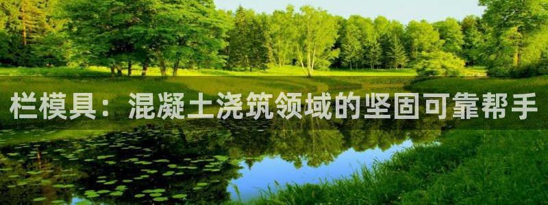 太阳app下载安装：栏模具：混凝土浇筑领域的坚固可靠帮手