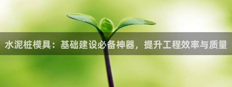 太阳成集团网站取款：水泥桩模具：基础建设必备神器，提升工程效率与质量