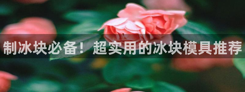 太阳gg登录地址：制冰块必备！超实用的冰块模具推荐