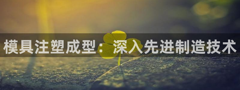 太阳集团在哪里：模具注塑成型：深入先进制造技术