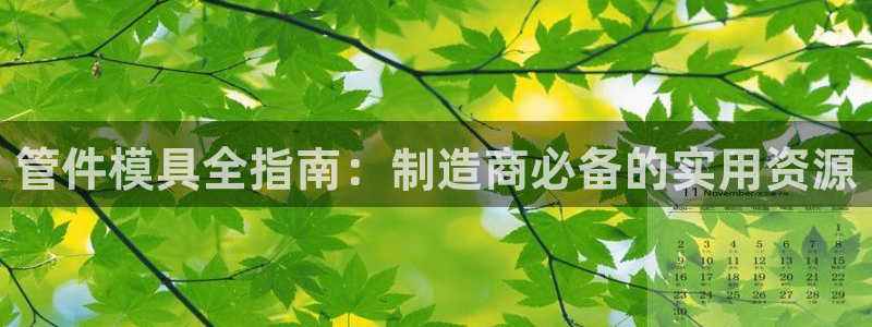 8827太阳集团：管件模具全指南：制造商必备的实用资源