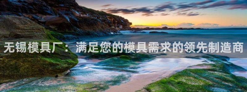 太阳成集团tyc234cc[主页]：无锡模具厂：满足您的模具需求的领先制造商