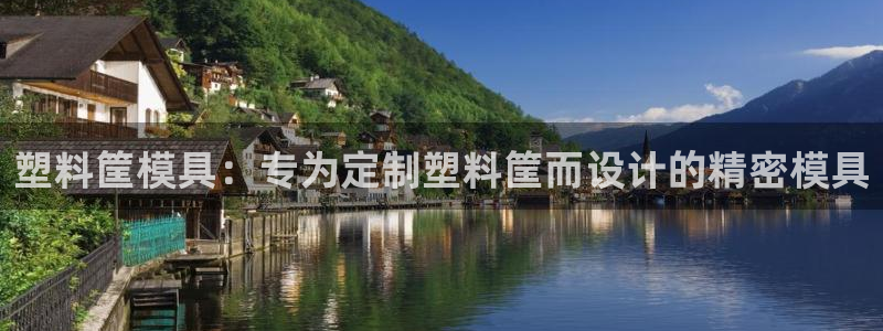 太阳成集团客服：塑料筐模具：专为定制塑料筐而设计的精密模具