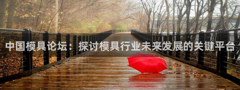 太阳诚集团所有网站：中国模具论坛：探讨模具行业未来发展的关键平台