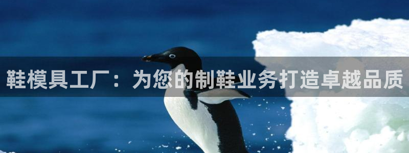 太阳集团网站：鞋模具工厂：为您的制鞋业务打造卓越品质