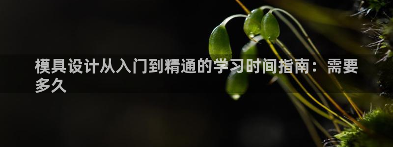 太阳成集团控股：模具设计从入门到精通的学习时间指南：需要
多久