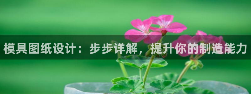太阳 官网：模具图纸设计：步步详解，提升你的制造能力