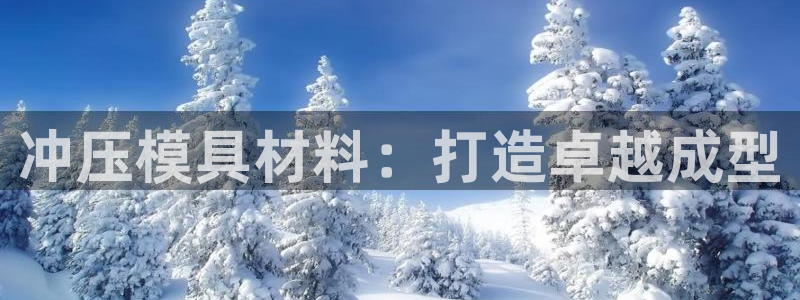 太阳诚集团网站：冲压模具材料：打造卓越成型