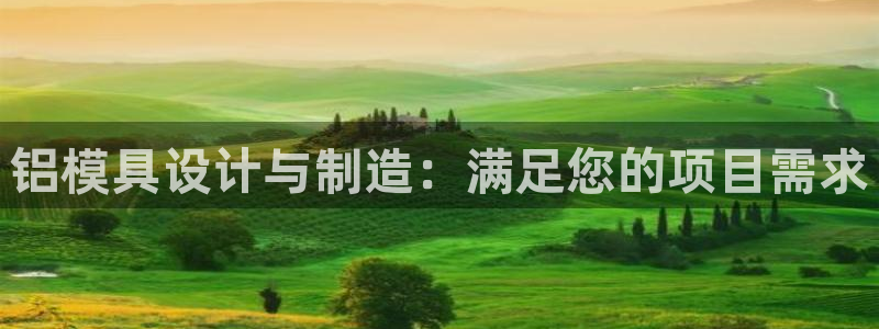太阳成集团是什么：铝模具设计与制造：满足您的项目需求