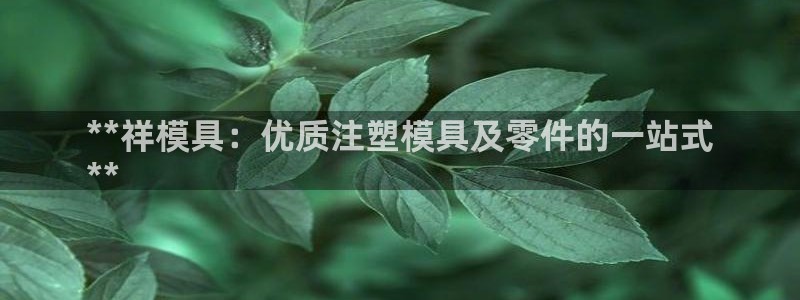 太阳集团城网址：**祥模具：优质注塑模具及零件的一站式
**