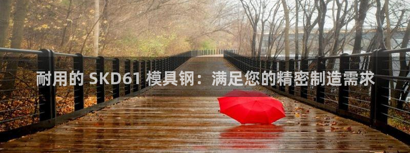 太阳集团下载链接：耐用的 SKD61 模具钢：满足您的精密制造需求