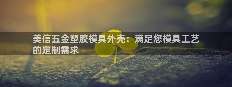 古天乐和太阳集团：美信五金塑胶模具外壳：满足您模具工艺
的定制需求