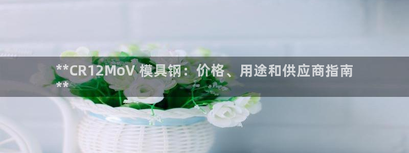 太阳1城集团网址是多少：**CR12MoV 模具钢：价格、用途和供应商指南
**