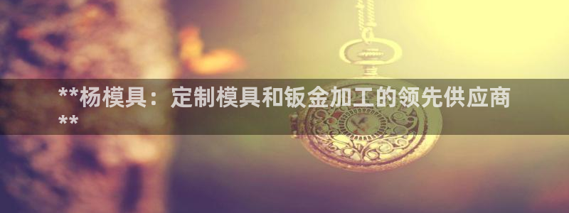 太阳集团游戏城1382：**杨模具：定制模具和钣金加工的领先供应商
**