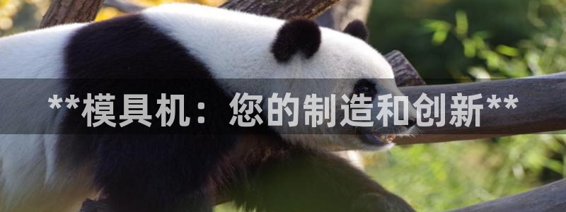太阳集团电子游戏老板：**模具机：您的制造和创新**