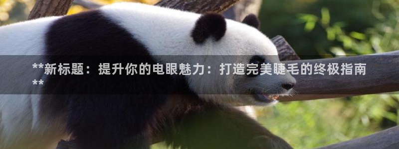 2138cn太阳集团古天乐·首页(欢迎您)：**新标题：提升你的电眼魅力：打造完美睫毛的终极指南
**