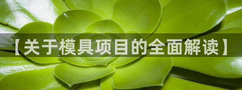 太阳集团是什么平台?：【关于模具项目的全面解读】