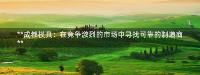 太阳游戏成语：**成都模具：在竞争激烈的市场中寻找可靠的制造商
**