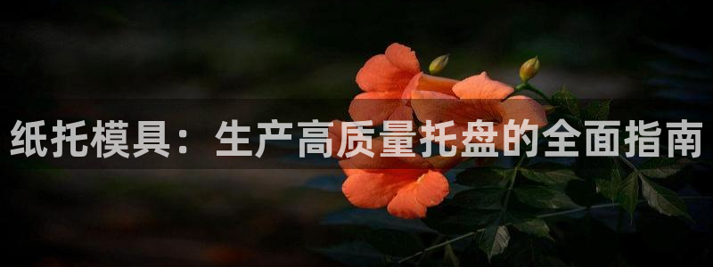 太阳集团城官方app：纸托模具：生产高质量托盘的全面指南