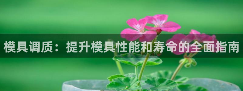 44118太阳成城集团：模具调质：提升模具性能和寿命的全面指南