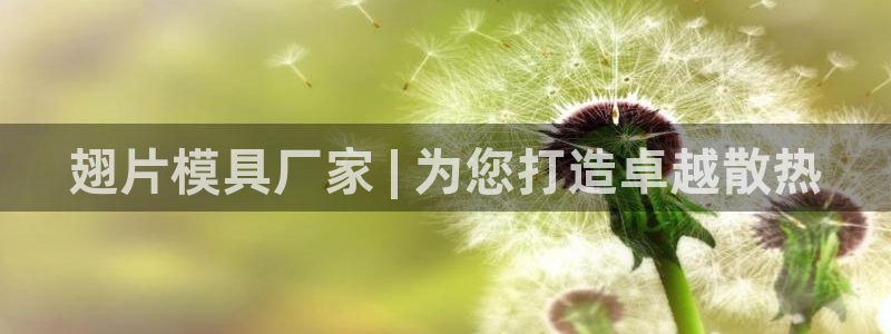太阳 官网：翅片模具厂家 | 为您打造卓越散热