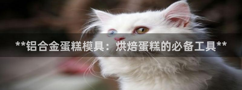 太阳成集团控股买购网：**铝合金蛋糕模具：烘焙蛋糕的必备工具**