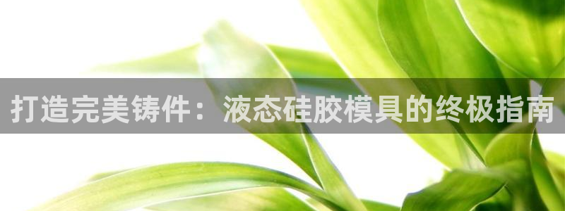 2138cn太阳集团古天乐：打造完美铸件：液态硅胶模具的终极指南