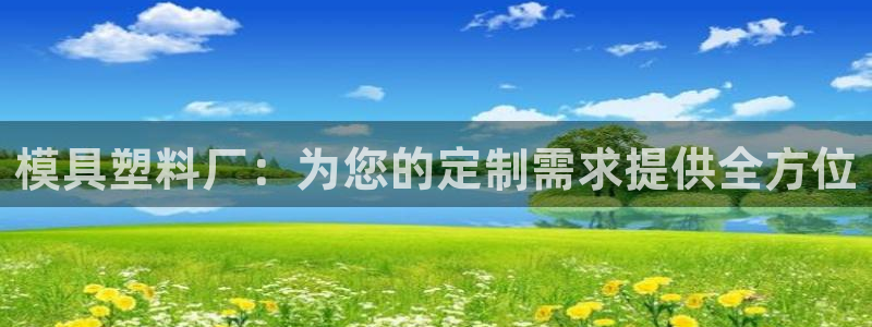 太阳诚集团网站：模具塑料厂：为您的定制需求提供全方位
