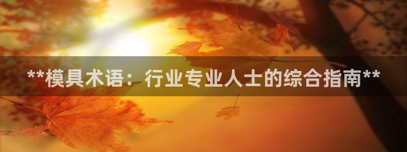 太阳成集团tyc122cc客服：**模具术语：行业专业人士的综合指南**