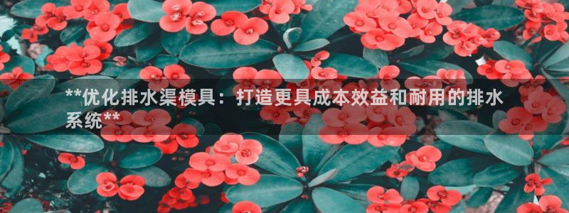 太阳集团网站入口官网首页