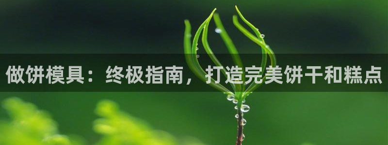 太阳商城贵宾会2017cm：做饼模具：终极指南，打造完美饼干和糕点
