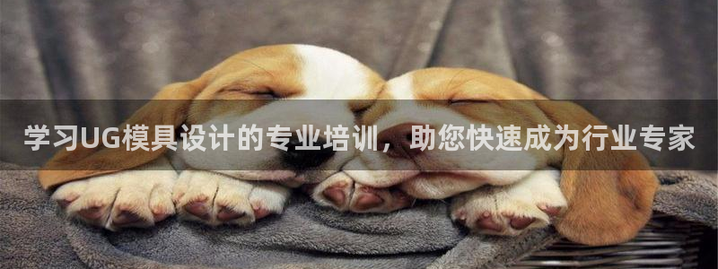 太阳成集团老板：学习UG模具设计的专业培训，助您快速成为行业专家