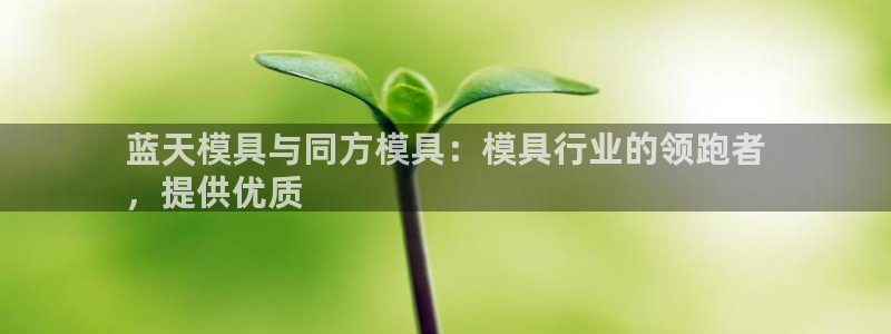 古天乐太阳网城：蓝天模具与同方模具：模具行业的领跑者
，提供优质