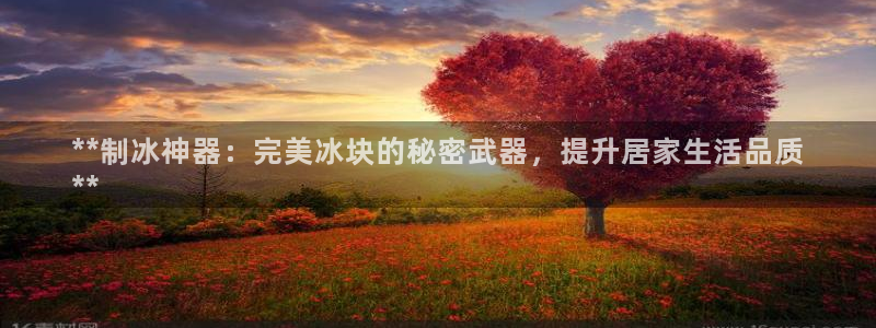 太阳集团网站1088vip：**制冰神器：完美冰块的秘密武器，提升居家生活品质
**
